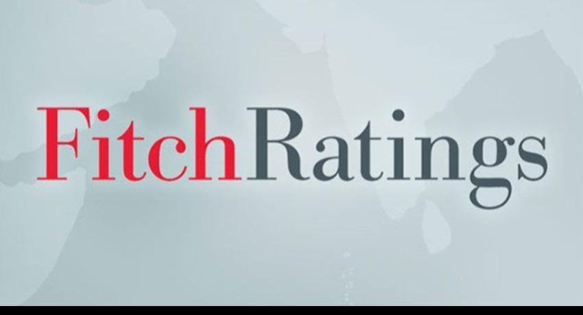 DDO is a significant step, says Fitch